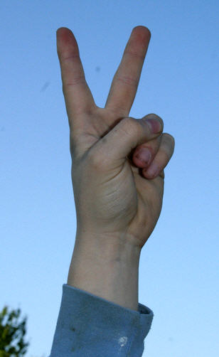 [Peace-Sign---Andy-702209.jpg]