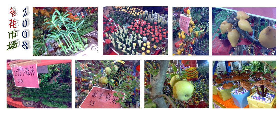 [2008-flower-market.jpg]