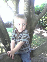 Trenton climbing a tree