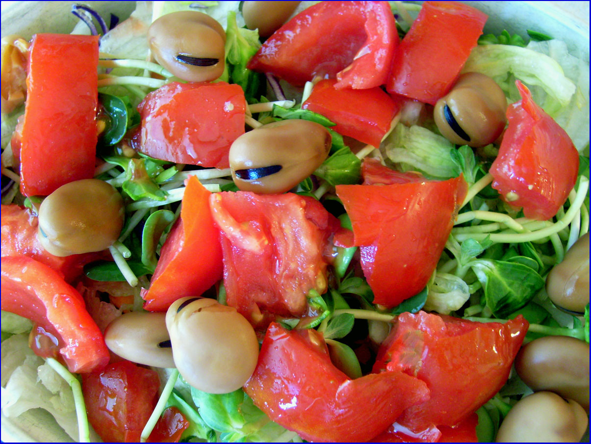 [lunch+salad+w+tom+n+favas.JPG]