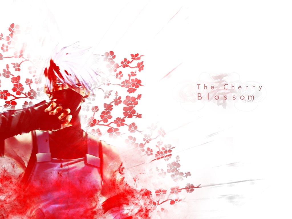 [The+Cherry+Blossom.jpg]