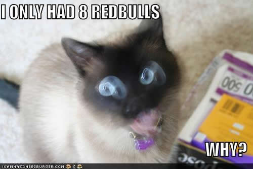 [cat+red+bull.jpg]