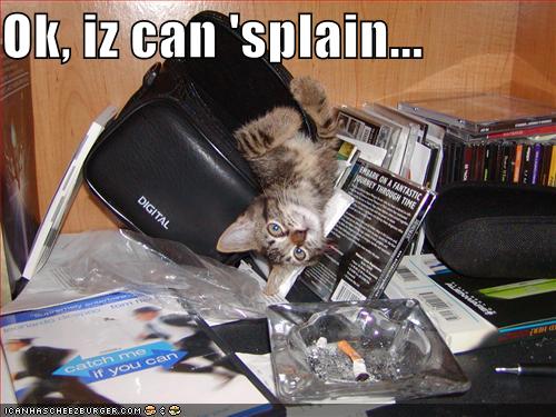 [funny-pictures-cat-cds-dvds.jpg]