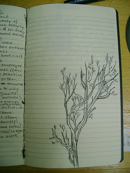 [Journal-Tree.jpg]