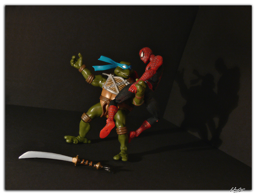 [spiderman+vs+ninja+turtle+03.jpg]