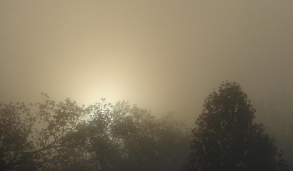 [0408+foggy+morning+001.jpg]