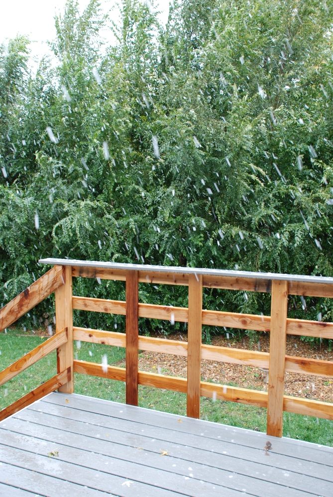 [snowing+on+the+deck.jpg]