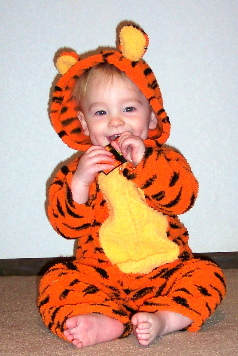 [cutest+tiger.jpg]
