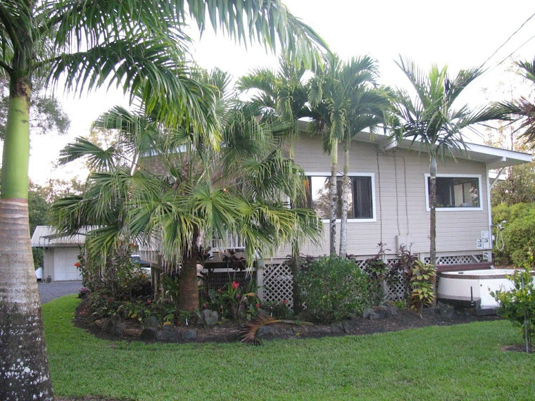 Our New Digs in Pahoa area