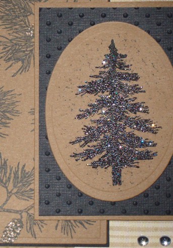 [close+up+pine+tree.jpg]