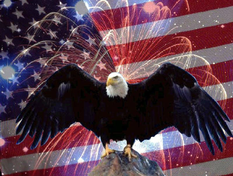 [Eagle-Flag-Fireworks.jpg]