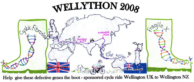 Wellython 2008