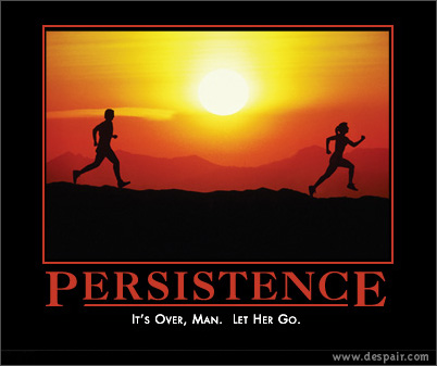 [persistence.jpg]