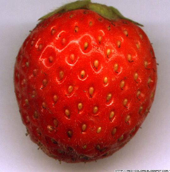 [Strawberry.jpg]