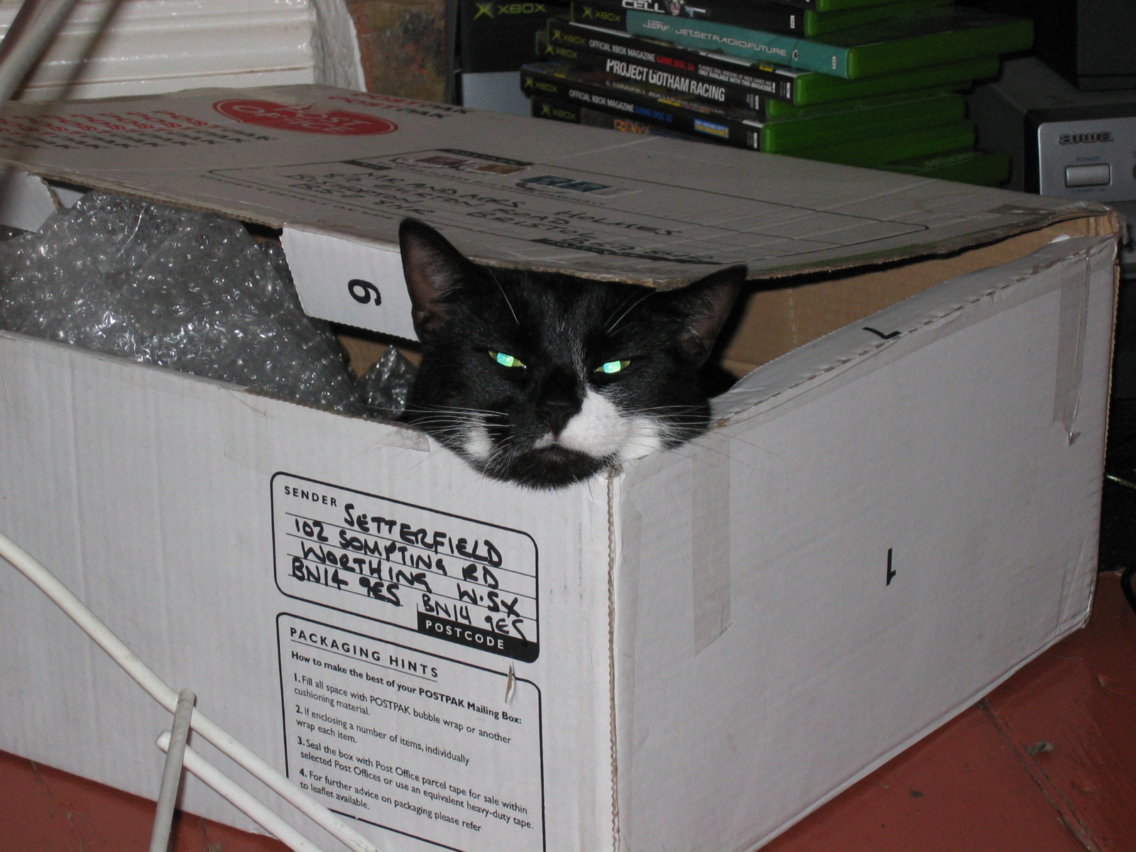 [Cat+in+the+box.JPG]