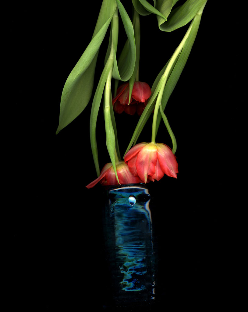 [tulip_in_a_glass+7.jpg]