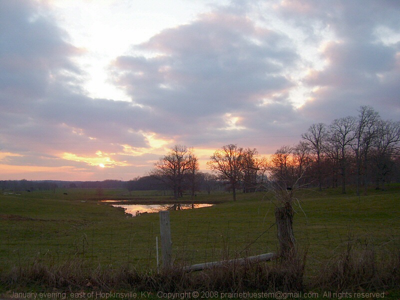 January sunset in Kentucky