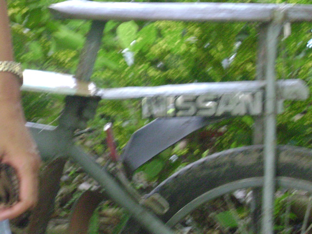 [Nissan+Bike.JPG]