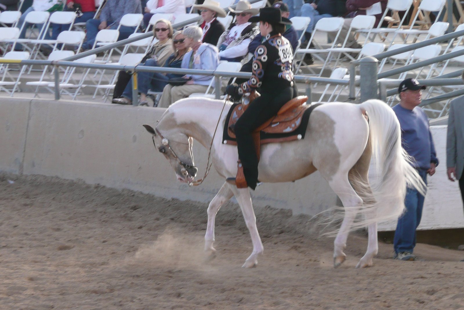 [2008-02-20+Scottsdale+Arabian+Horse+Show+044.jpg]