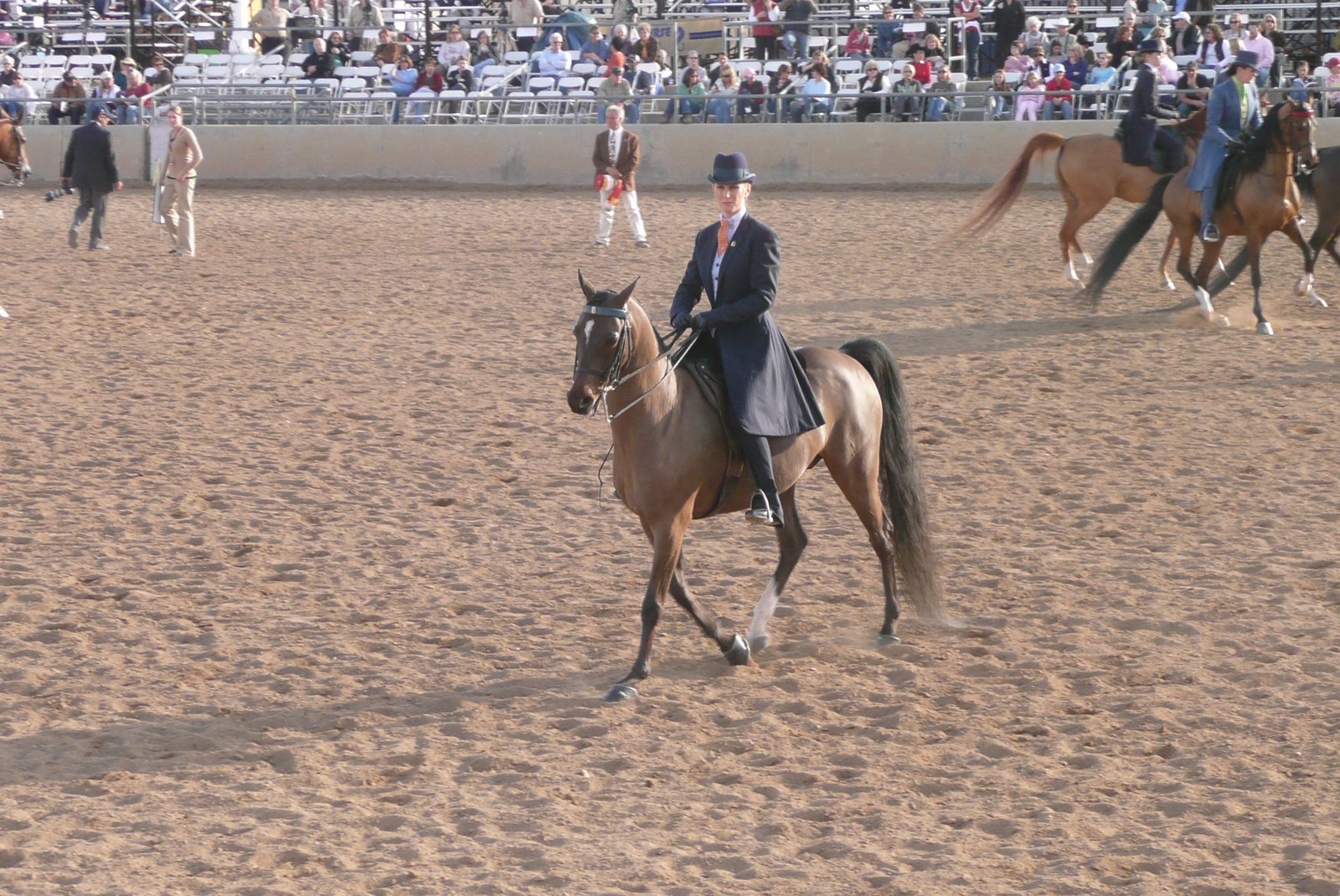 [2008-02-20+Scottsdale+Arabian+Horse+Show+023.jpg]