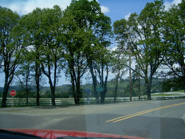 [04-29-07++Views+around+Salem+Oregon+002.jpg]
