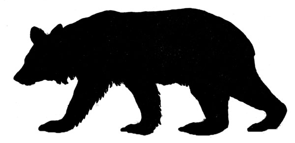 [bear+silhouette.jpg]