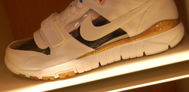 [clear-nike-trainer-dunk-low-2.jpg]