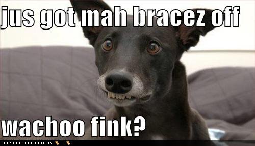 [funny-dog-pictures-just-got-braces-off.jpg]