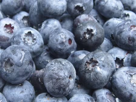[blueberries3.JPG]