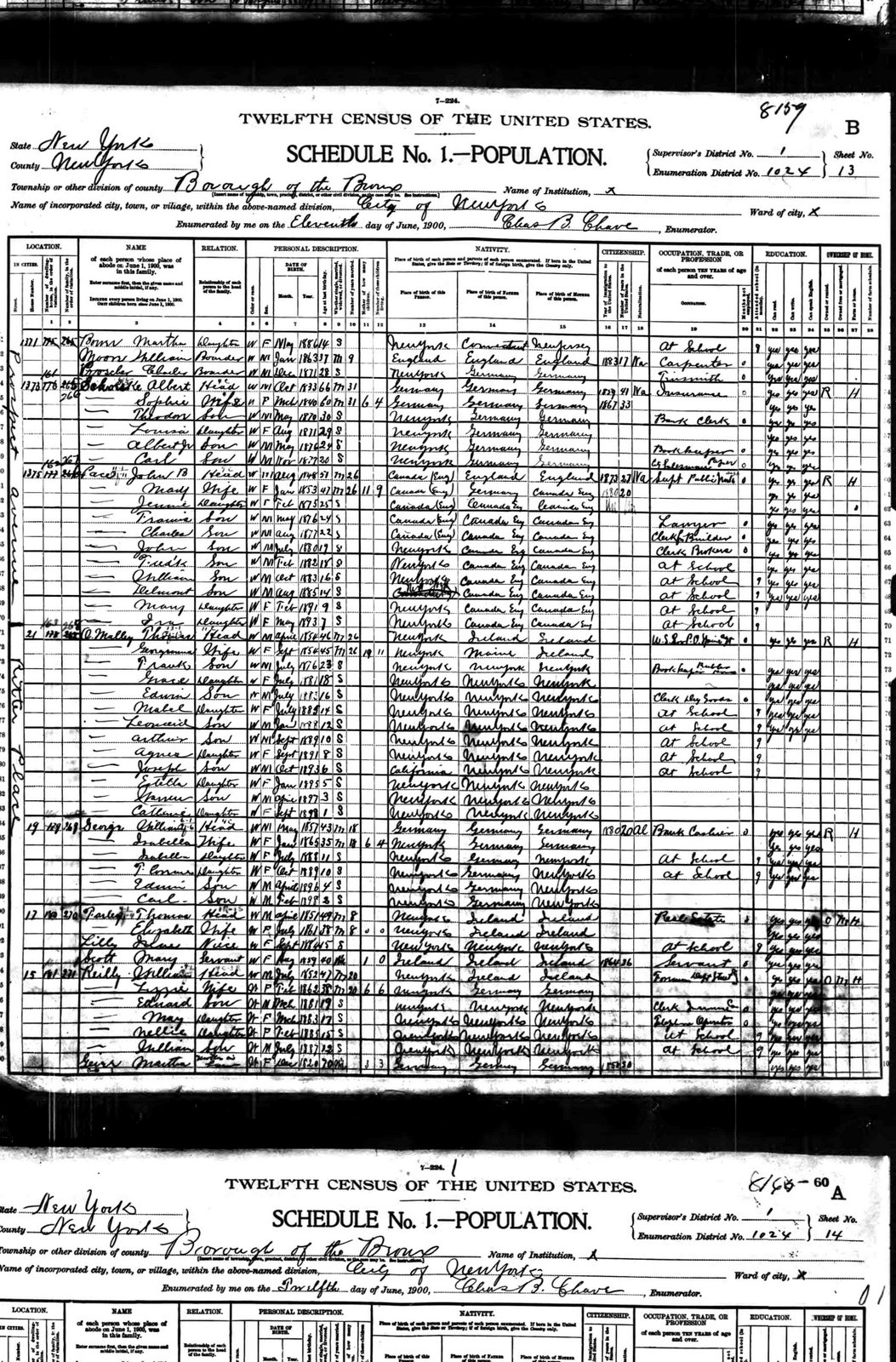 [1900_census_O'Malley_Reynolds.jpg]