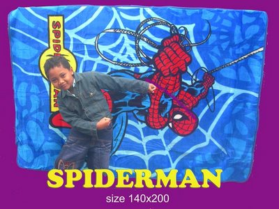 [spiderman.jpg]