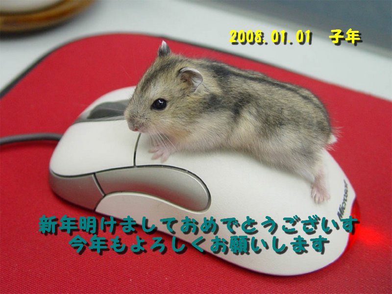 [mouse01.jpg]