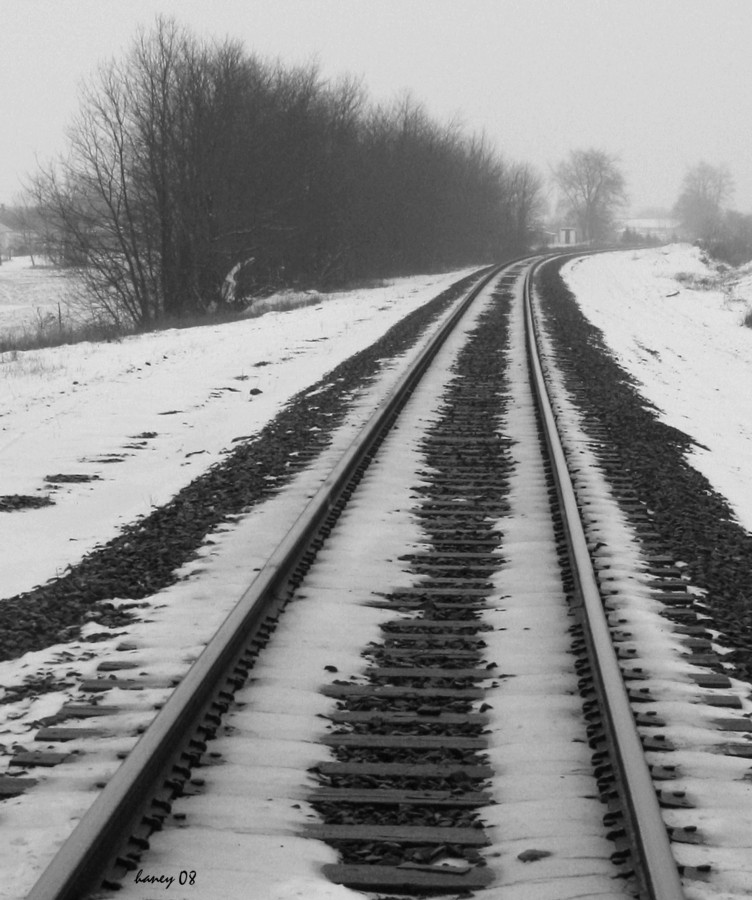 [2008+0223+snow+tracks+2.jpg]