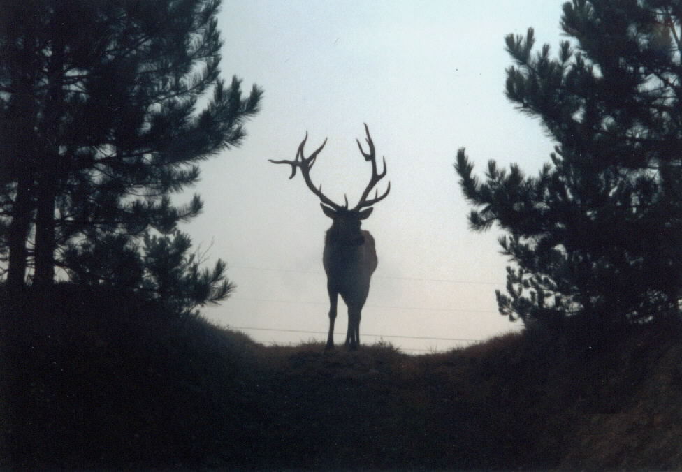 [1999+Elk+County.jpg]