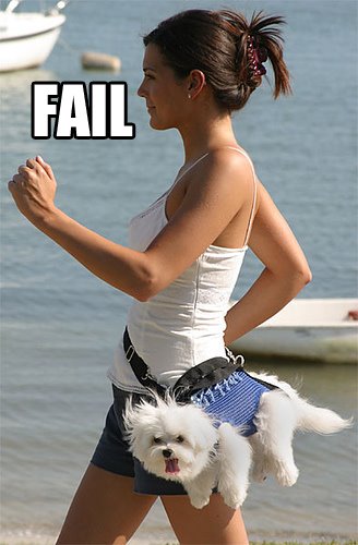 [fail+dog+2.jpg]