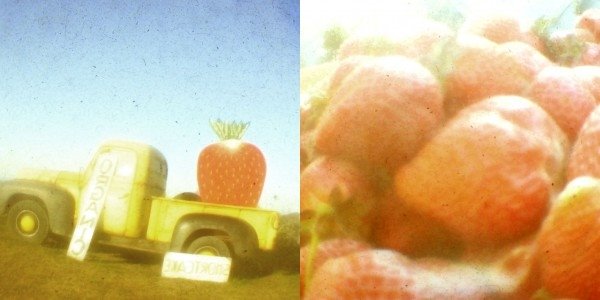 [truck-+berry.JPG]