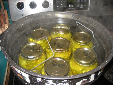 [canning#6.JPG]