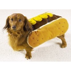 [Hot+dog+costume.jpg]