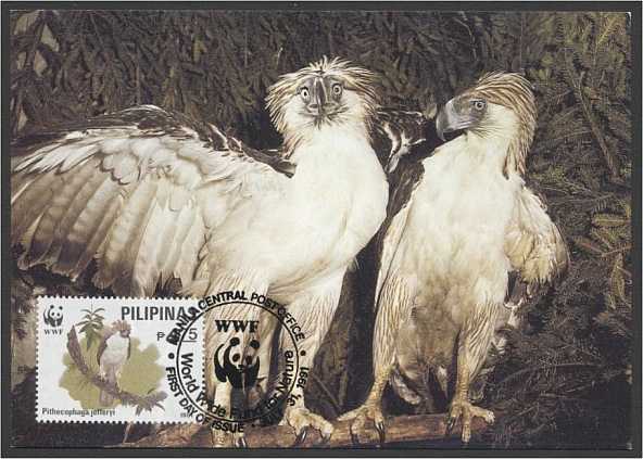 [aigle+philippine2.jpg]
