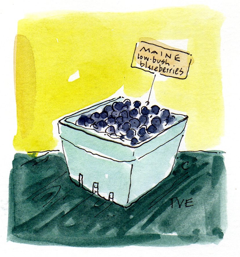 [maine+blueberries338.jpg]