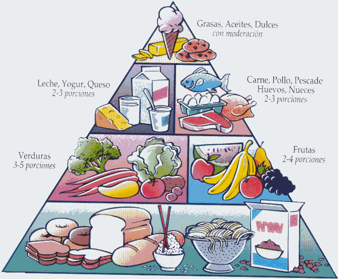 [Pirámide+Alimentacion.gif]