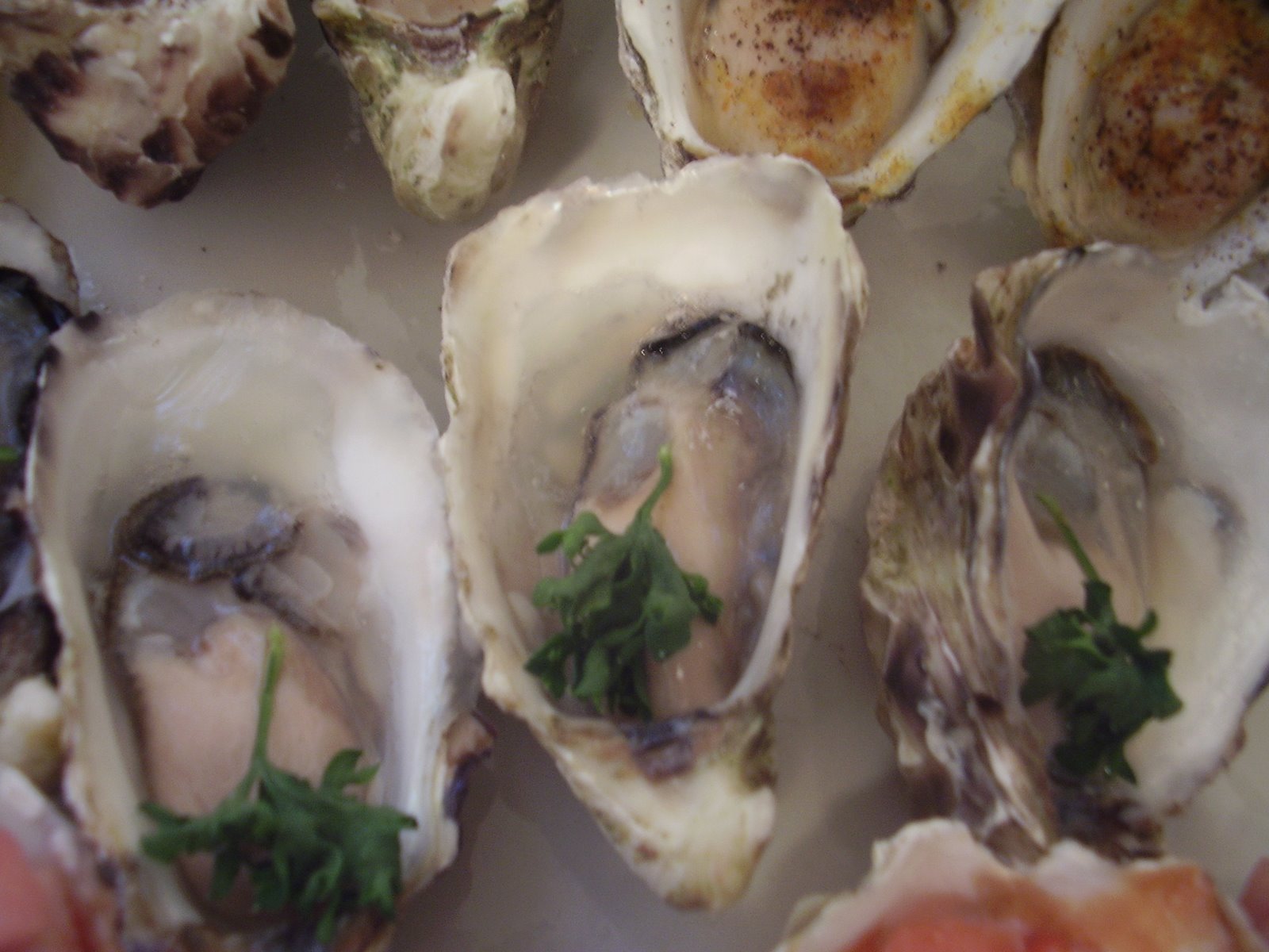[Oysters+with+lemon+and+parsley.JPG]