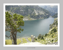 Lago de S.Mauricio Lleida