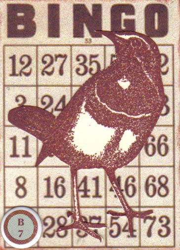 [Bingo+Bird.jpg]