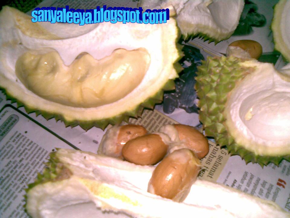 [mkn+durian.JPG]