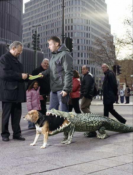 [dog-costume-being-eaten-by-an-alligator1.jpg]