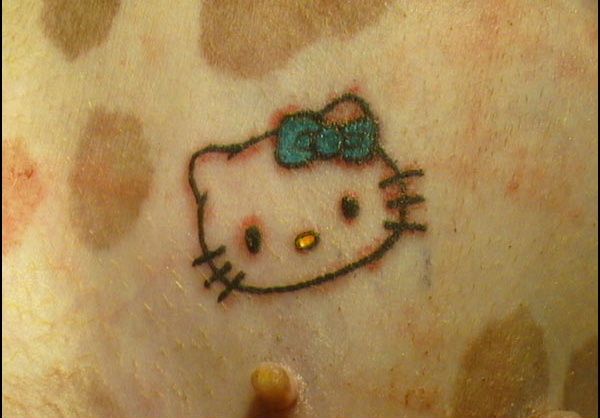 [hello-kitty-dog-tattoo-1.jpg]