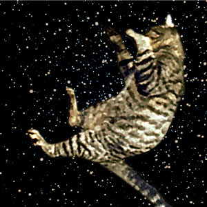 [flying_cat.jpg]