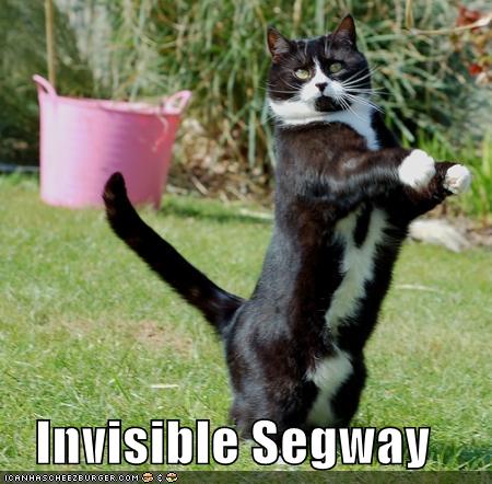 [funny-pictures-invisible-segway-cat1.jpg]