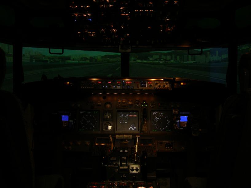 Flight Experience Simulator